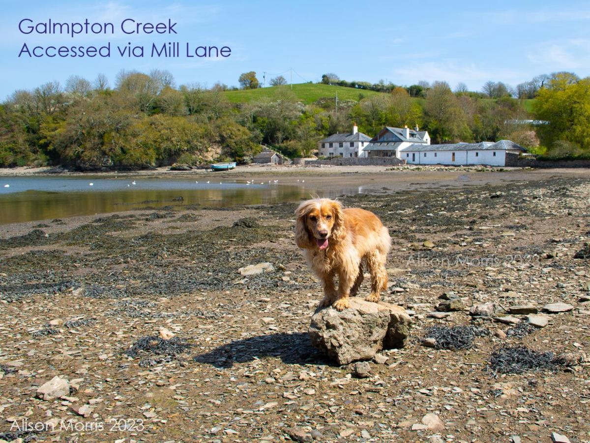Dart Haven - Cheerful Holiday Bungalow In Galmpton Esterno foto