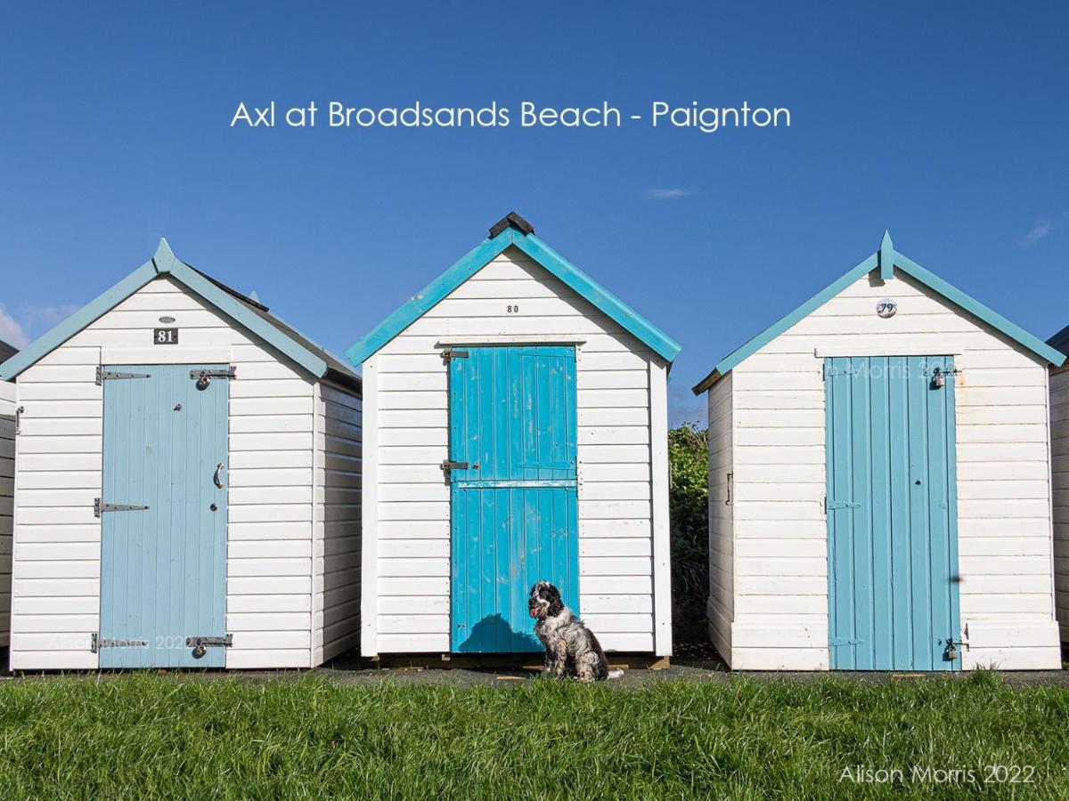 Dart Haven - Cheerful Holiday Bungalow In Galmpton Esterno foto